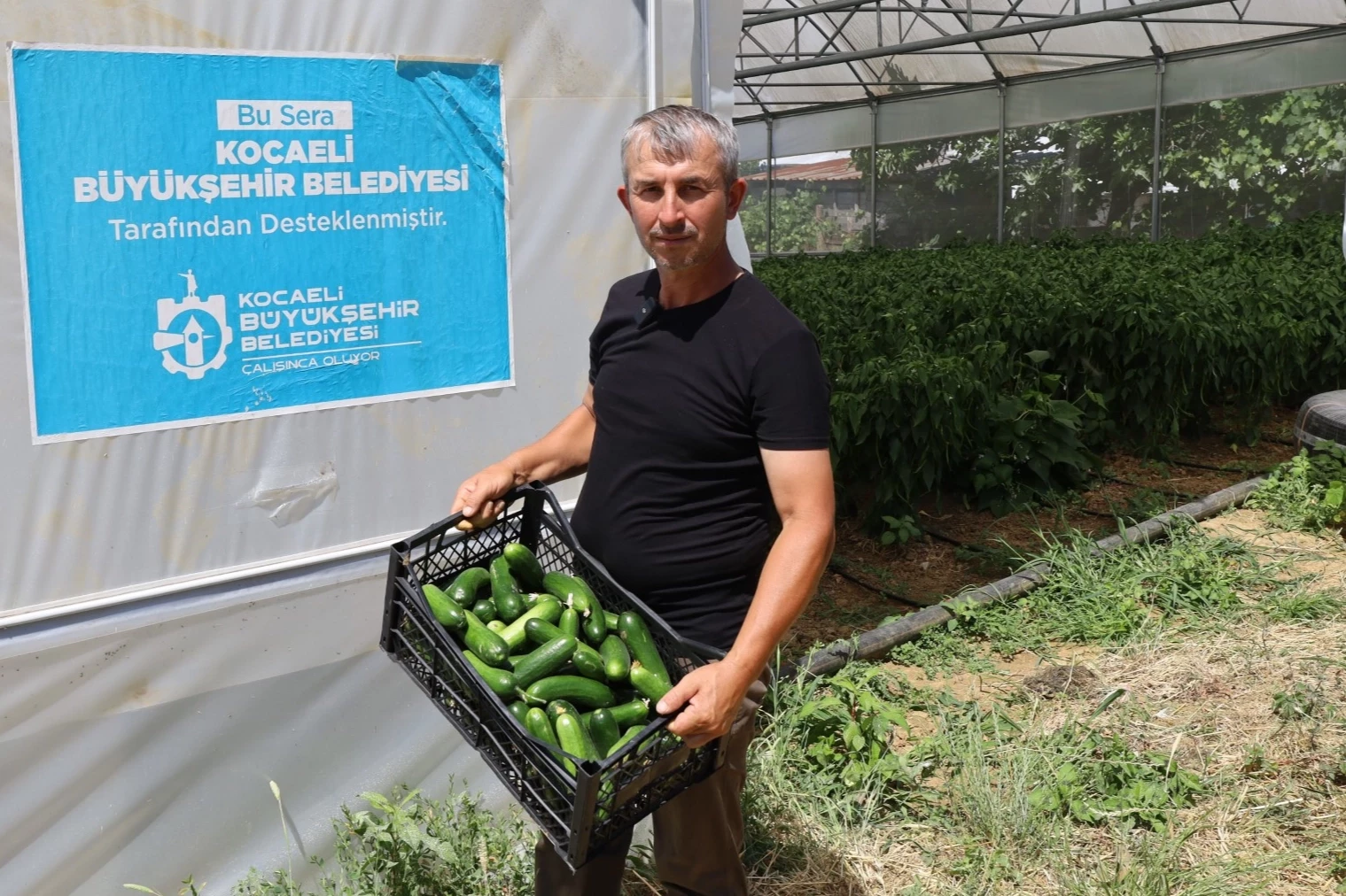 Kocaeli