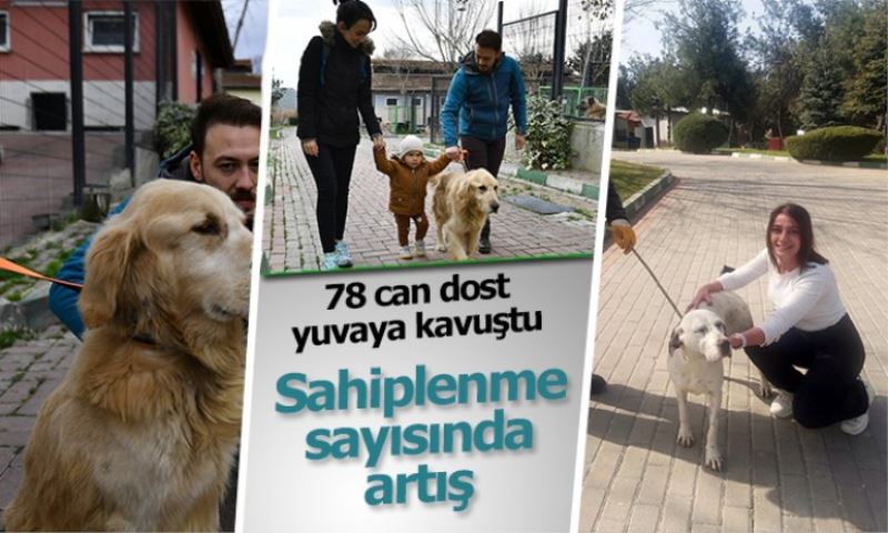 78 can dost sıcak yuvaya kavuşturuldu