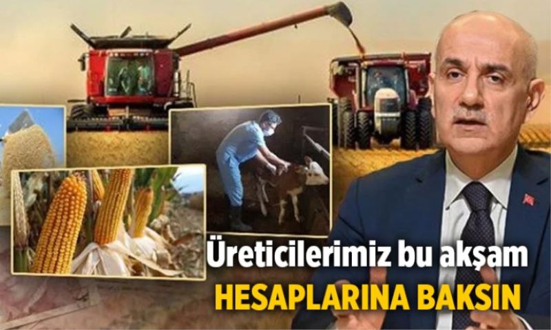 Bakan Kirişci: Saat 18