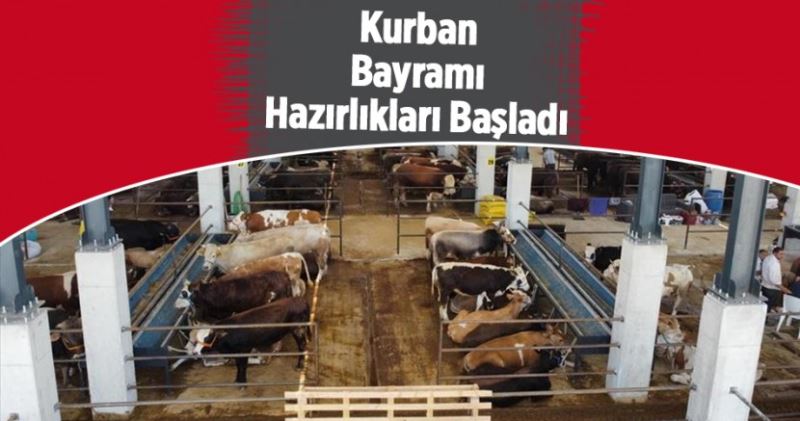 Hayvan Pazarında Kurban Bayramı Hazırlıkları Başladı