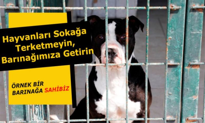 İnegöl Belediye