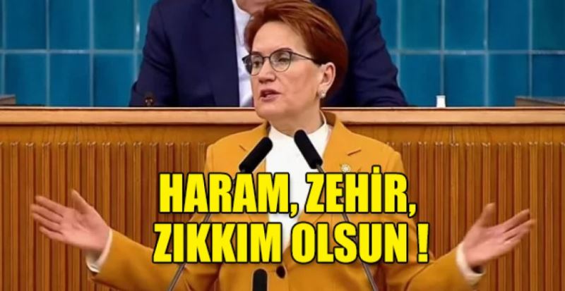 Meral Akşener: Bu milletin hakkı hepinize; haram, zehir, zıkkım olsun!