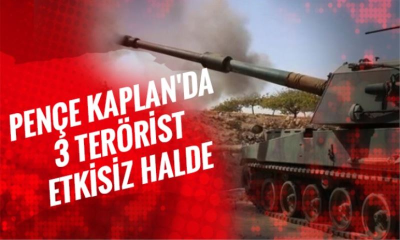 Pençe Kaplan